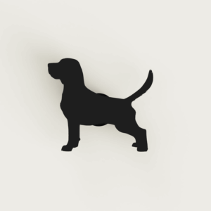 Pin crocs Perro beagle