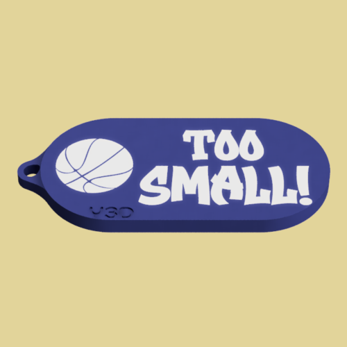 ACCLCLBA169-A-C-llavero-too-small llavero baloncesto,llavero baloncesto personalizado